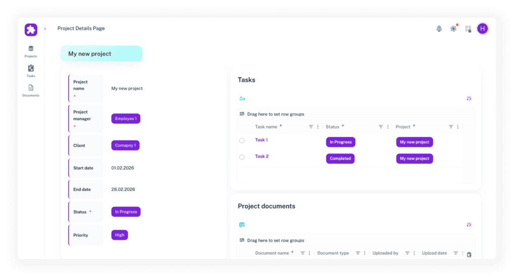 Project management dashboard showing project status, tasks, and team activity